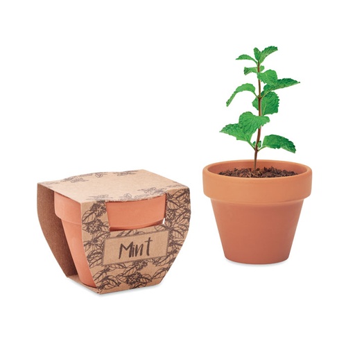 [MO2218-40] MINT POT